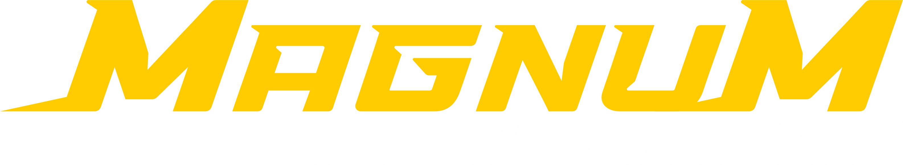 Magnum 4D Pools